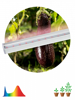 Б0028200