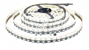 100-png