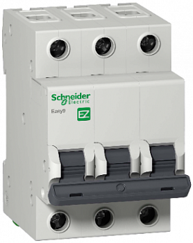 avt-vykl-easy-9-3p-25a-c_photo-resizer.ru